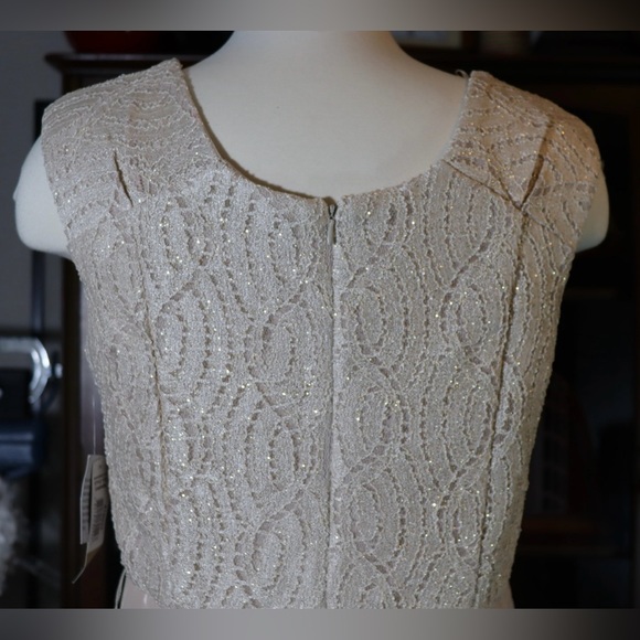 R&M Richards champagne colored hi-lo dress, size 12 - Picture 8 of 16